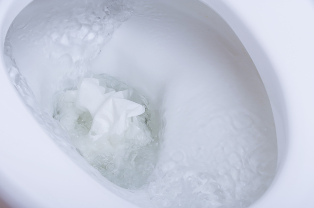 トイレの流れが悪くなる原因と対処法